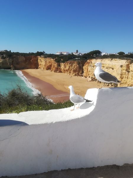 foto 7 Affitto tra privati Porches studio Algarve  Spiaggia
