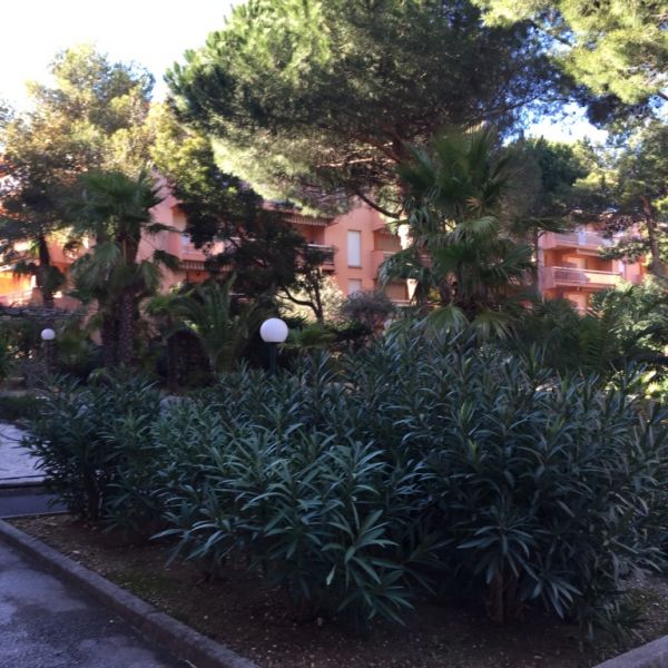 foto 15 Affitto tra privati Bormes Les Mimosas appartement Provenza Alpi Costa Azzurra Var Giardino