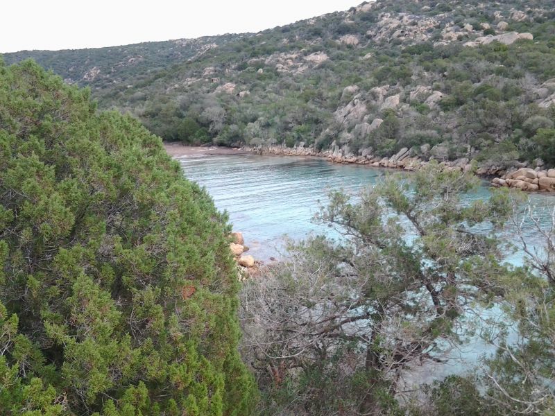 foto 4 Affitto tra privati Tizzano villa Corsica Corsica del Sud