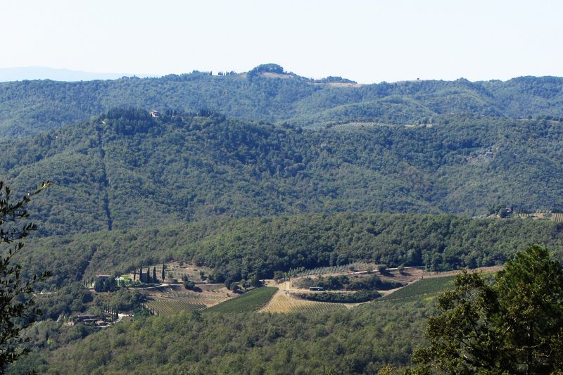 foto 22 Affitto tra privati Siena gite Toscana Siena (provincia di) Vista dalla casa vacanze