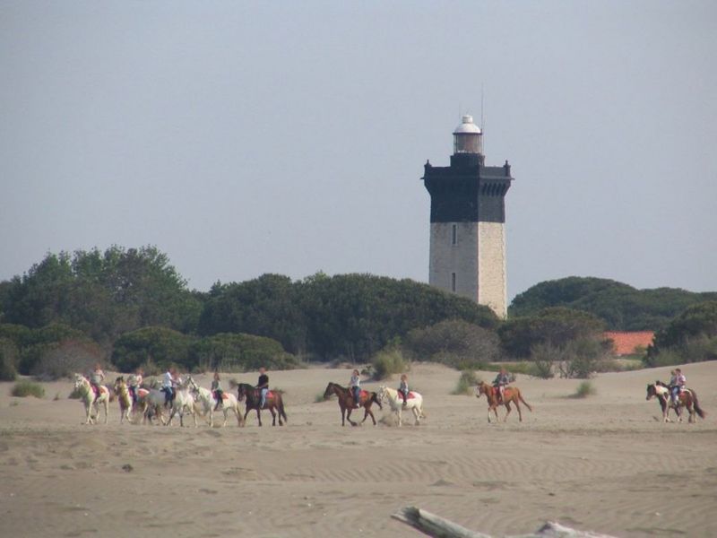 foto 17 Affitto tra privati Le Grau du Roi maison Linguadoca-Rossiglione Gard Spiaggia