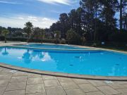 Affitto case vacanza piscina Landes: appartement n. 127532