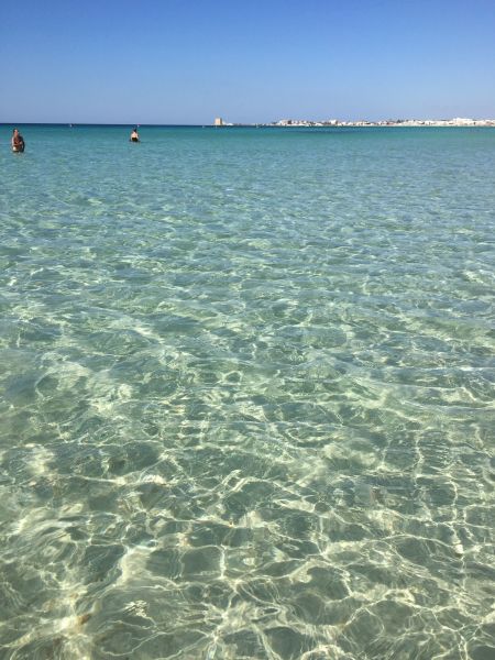 foto 20 Affitto tra privati Porto Cesareo appartement Puglia Lecce (provincia di) Spiaggia