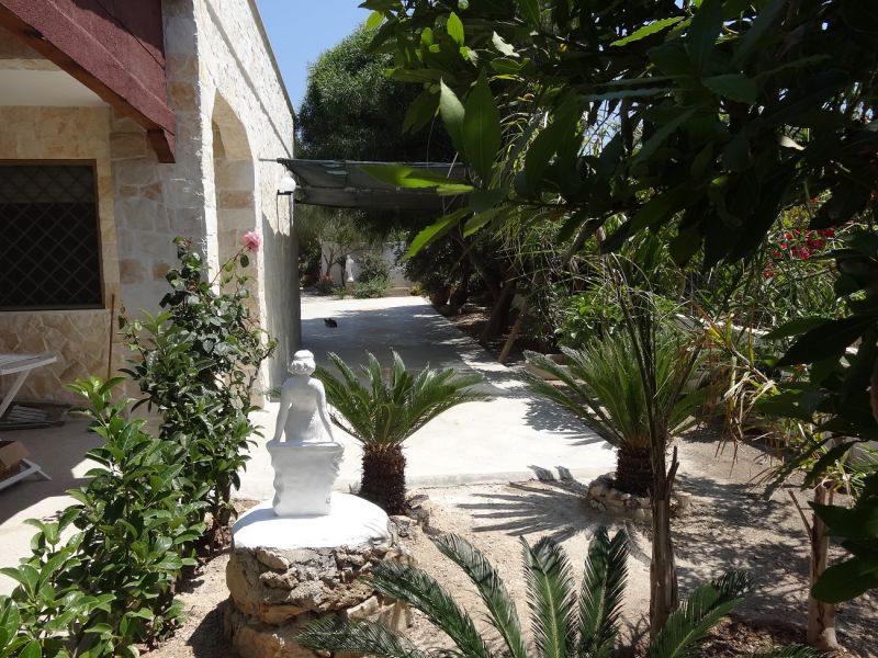 foto 11 Affitto tra privati Santa Maria di Leuca villa Puglia Lecce (provincia di) Giardino