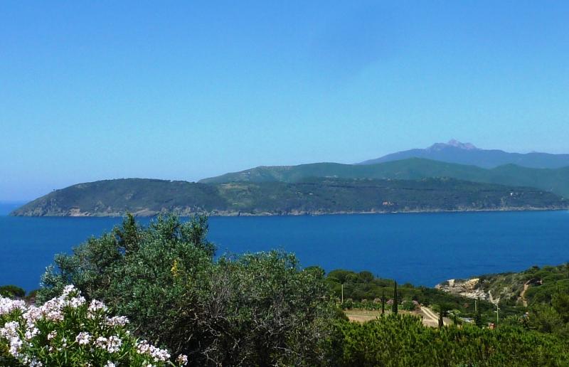 foto 0 Affitto tra privati Capoliveri appartement Toscana Isola d'Elba Vista dalla casa vacanze