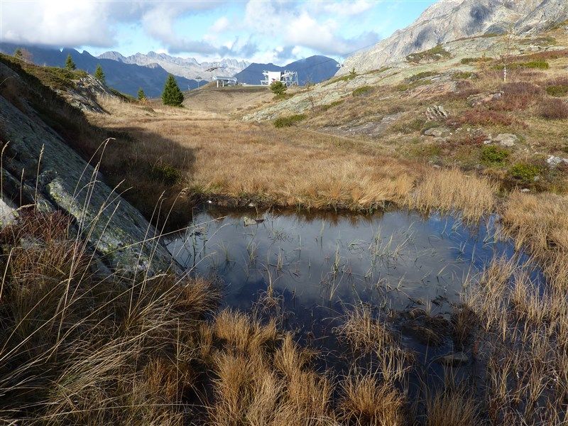 foto 4 Affitto tra privati Alpe d'Huez appartement Rodano Alpi Isre Vista esterna della casa vacanze