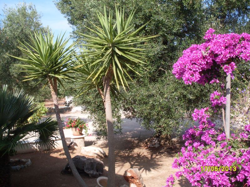 foto 1 Affitto tra privati Pescoluse villa Puglia Lecce (provincia di) Vista esterna della casa vacanze