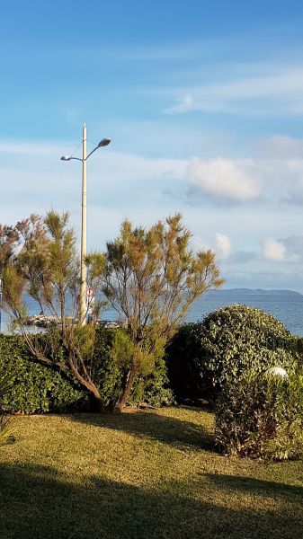 foto 25 Affitto tra privati Le Lavandou studio Provenza Alpi Costa Azzurra Var Giardino