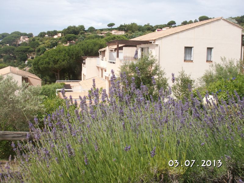 foto 15 Affitto tra privati Sainte Maxime appartement Provenza Alpi Costa Azzurra Var Vista esterna della casa vacanze