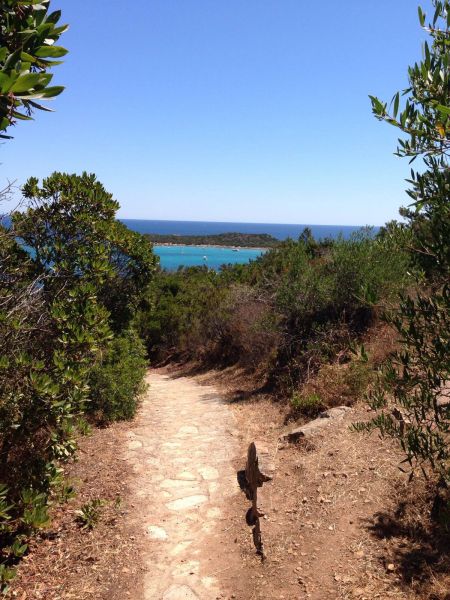 foto 20 Affitto tra privati San Teodoro appartement Sardegna Olbia Tempio (provincia di)