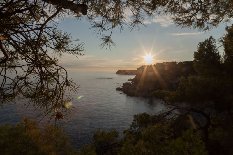 foto 26 Affitto tra privati Ensus la Redonne appartement Provenza Alpi Costa Azzurra Bocche del rodano Vista nelle vicinanze