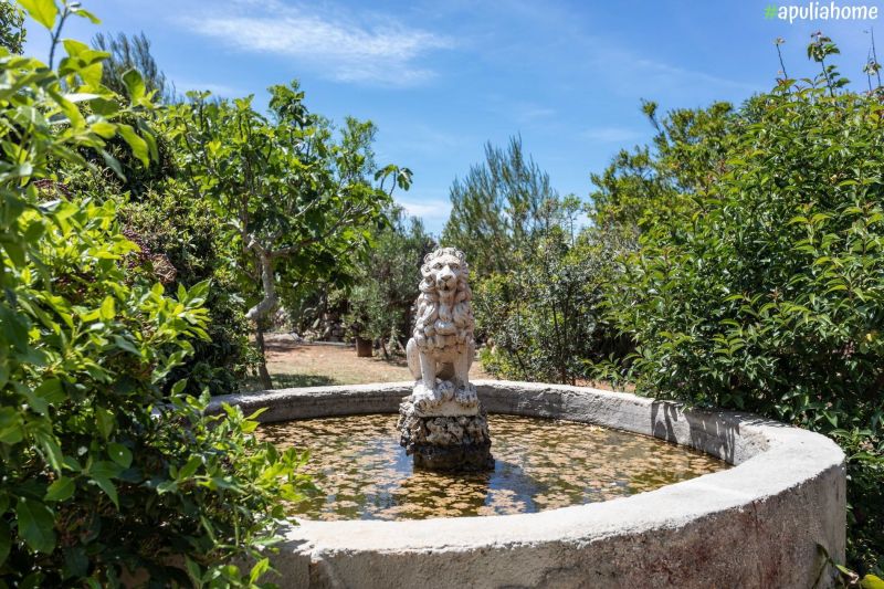 foto 7 Affitto tra privati Torre Suda villa Puglia Lecce (provincia di) Giardino