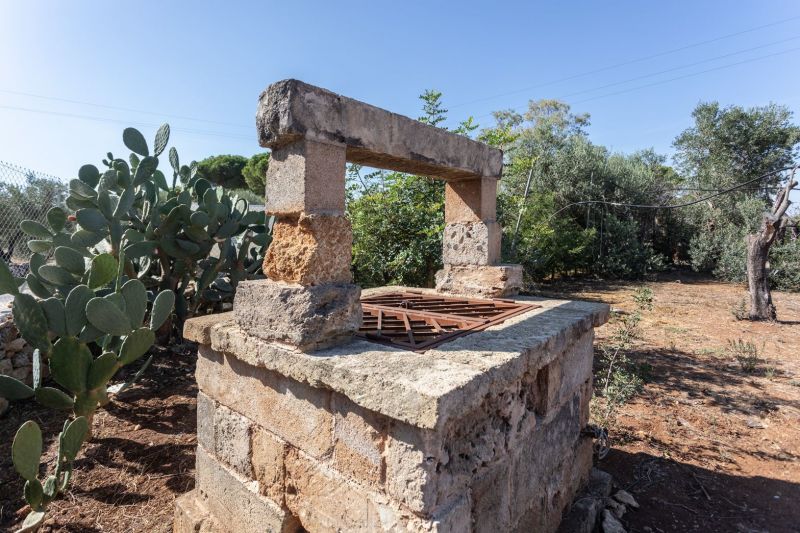 foto 17 Affitto tra privati Ugento - Torre San Giovanni maison Puglia Lecce (provincia di) Giardino