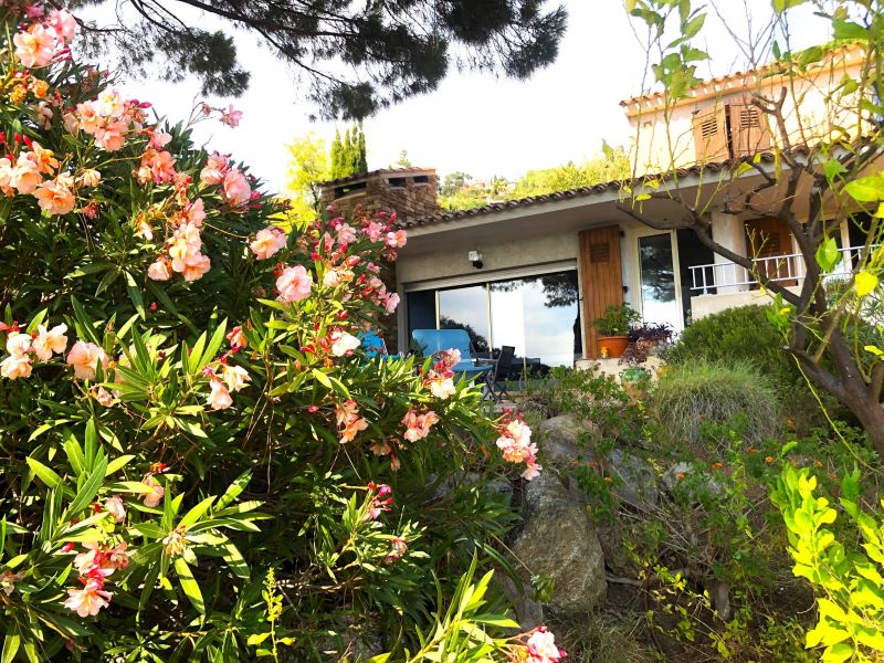 foto 6 Affitto tra privati Le Lavandou villa   Vista esterna della casa vacanze