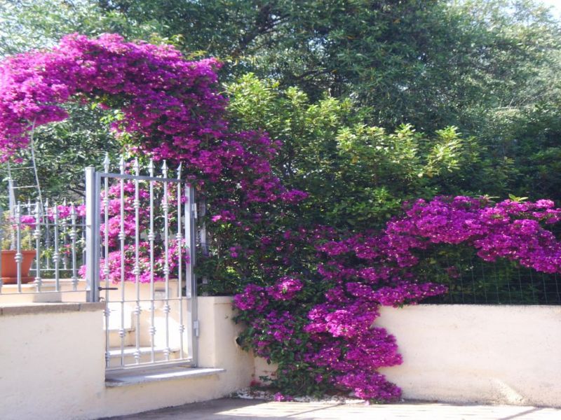 foto 0 Affitto tra privati San Teodoro studio Sardegna Olbia Tempio (provincia di)