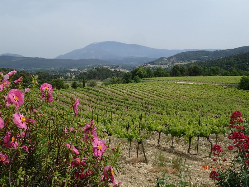 foto 16 Affitto tra privati Vaison la Romaine gite Provenza Alpi Costa Azzurra Valchiusa Vista dalla casa vacanze