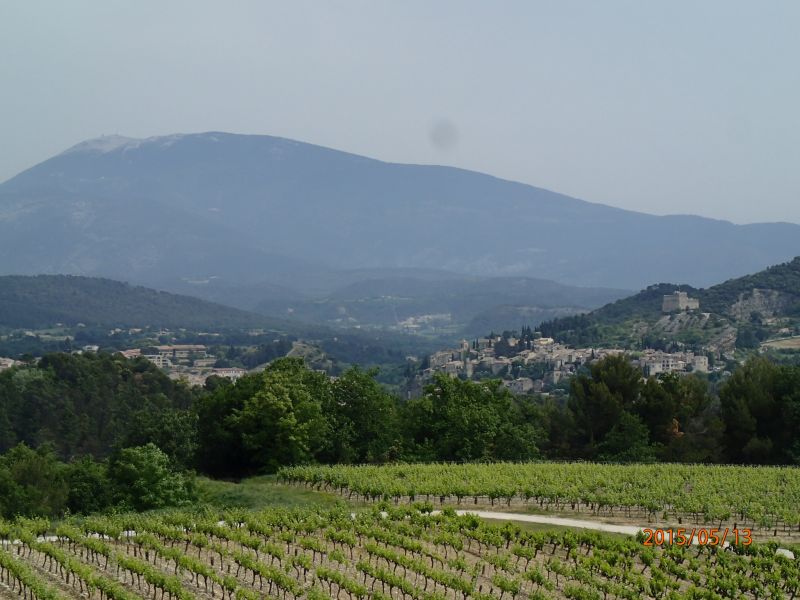 foto 17 Affitto tra privati Vaison la Romaine gite Provenza Alpi Costa Azzurra Valchiusa Vista dalla casa vacanze