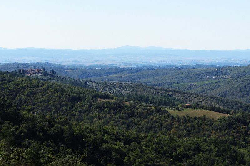 foto 14 Affitto tra privati Siena gite Toscana Siena (provincia di) Vista dal terrazzo