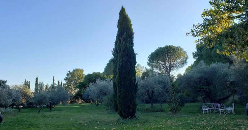 foto 2 Affitto tra privati Uzs maison Linguadoca-Rossiglione Gard Giardino