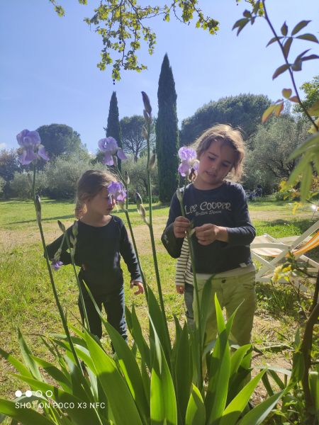 foto 5 Affitto tra privati Uzs maison Linguadoca-Rossiglione Gard Giardino