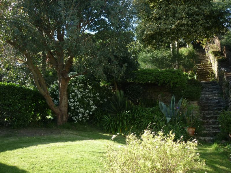 foto 6 Affitto tra privati Cancale maison Bretagna Ille et Vilaine Giardino