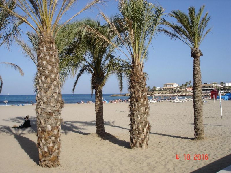 foto 21 Affitto tra privati Jvea appartement Comunit Valenzana Alicante (provincia di) Spiaggia