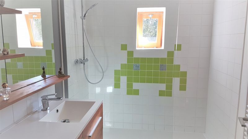 foto 23 Affitto tra privati Nmes villa Linguadoca-Rossiglione Gard Bagno