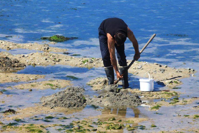 foto 20 Affitto tra privati Vannes gite Bretagna Morbihan Altra vista