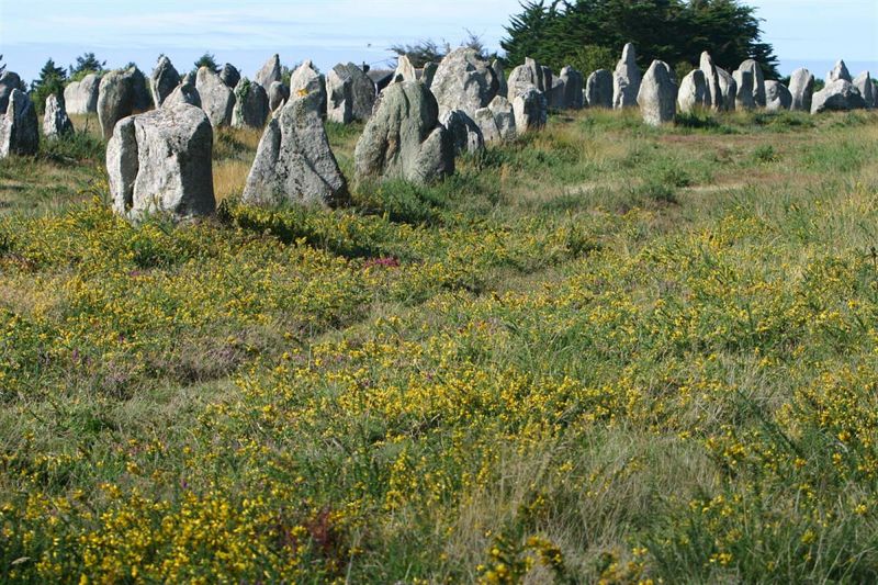 foto 21 Affitto tra privati Vannes gite Bretagna Morbihan Altra vista