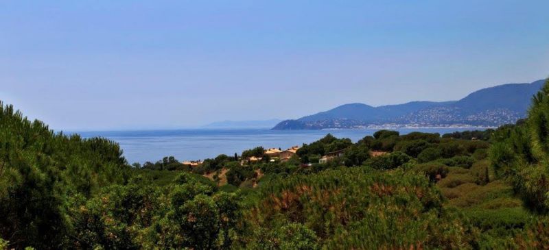 foto 25 Affitto tra privati La Croix Valmer villa Provenza Alpi Costa Azzurra Var Vista dalla casa vacanze