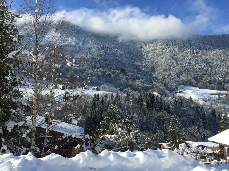 foto 18 Affitto tra privati La Clusaz gite Rodano Alpi Alta Savoia Vista dalla casa vacanze