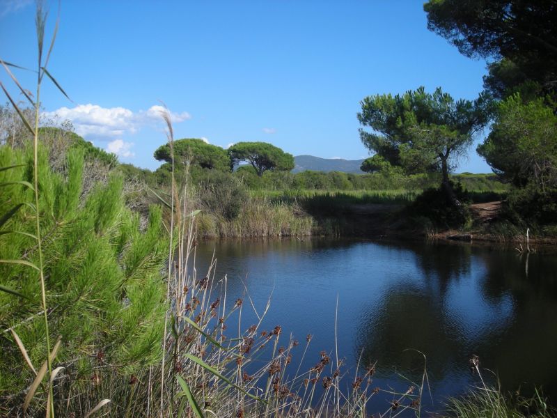 foto 16 Affitto tra privati Principina a Mare maison