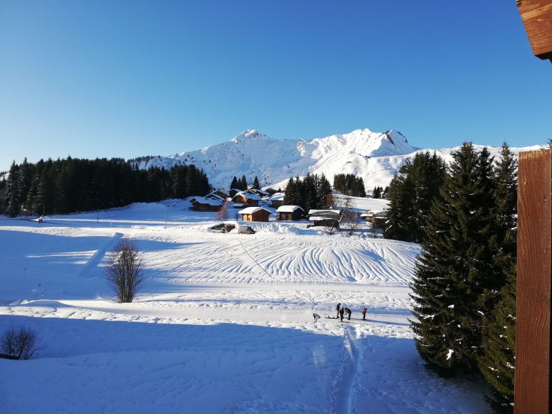 foto 8 Affitto tra privati Praz de Lys Sommand appartement Rodano Alpi Alta Savoia Vista dal balcone