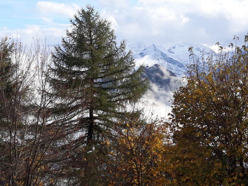 foto 21 Affitto tra privati Alpe d'Huez appartement Rodano Alpi Isre Vista dalla casa vacanze