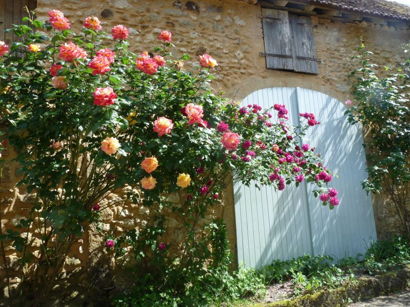 foto 6 Affitto tra privati Arzacq-Arraziguet maison Aquitania Pirenei Atlantici (Pyrnes-Atlantiques) Cortile