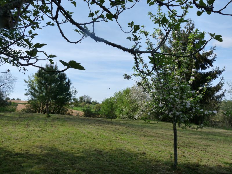 foto 0 Affitto tra privati Arzacq-Arraziguet maison Aquitania Pirenei Atlantici (Pyrnes-Atlantiques) Giardino