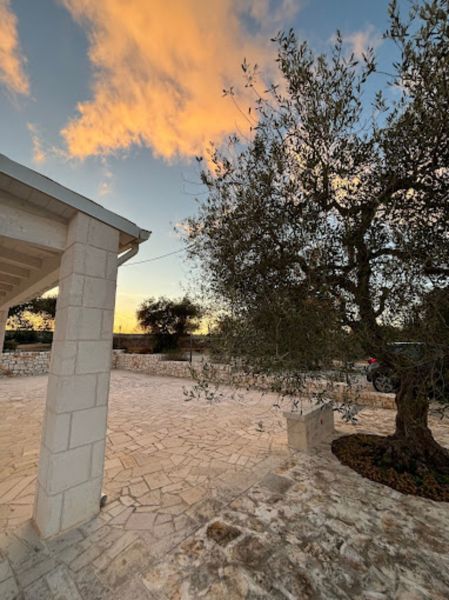 foto 5 Affitto tra privati Locorotondo villa Puglia Bari (provincia di) Vista esterna della casa vacanze