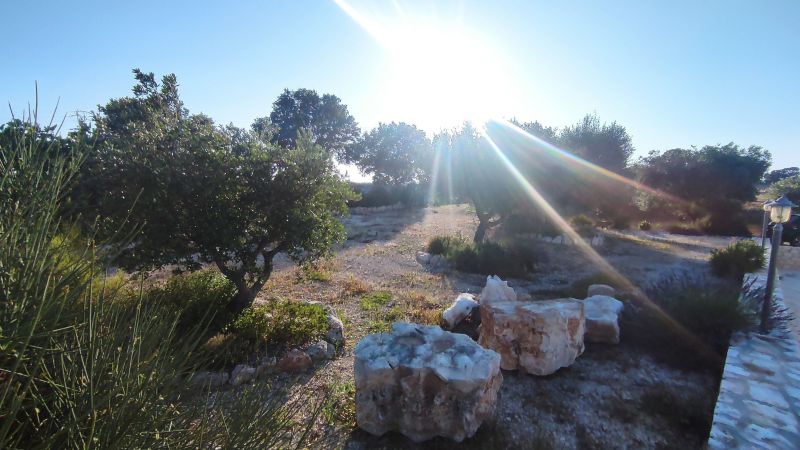 foto 27 Affitto tra privati Locorotondo villa Puglia Bari (provincia di) Vista esterna della casa vacanze