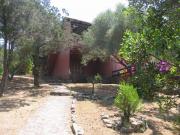 Affitto case vacanza Olbia Tempio (Provincia Di): appartement n. 64628