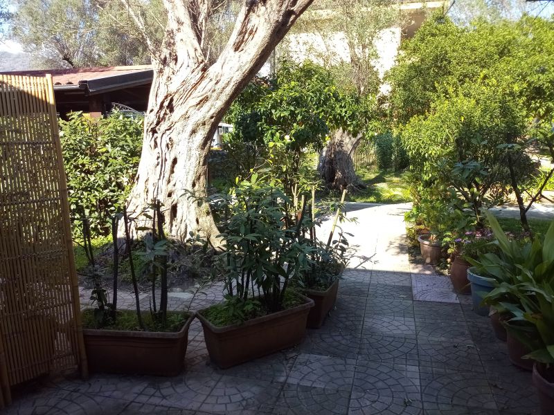 foto 6 Affitto tra privati Policastro Bussentino bungalow Campania Salerno (provincia di)