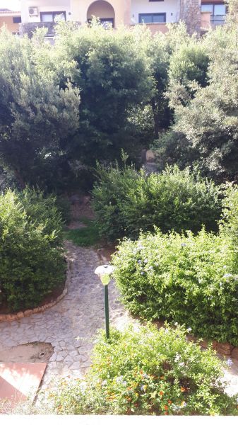 foto 3 Affitto tra privati Porto Rotondo appartement Sardegna Olbia Tempio (provincia di) Giardino