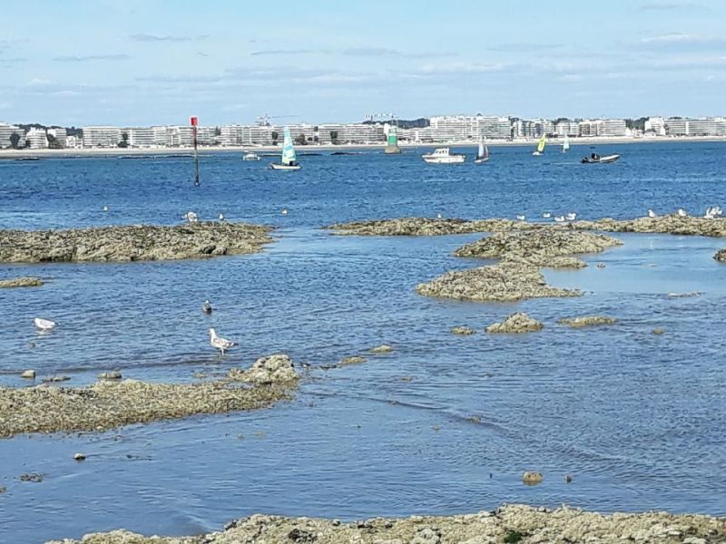 foto 4 Affitto tra privati La Baule studio Regione della Loira Loira Atlantica Spiaggia