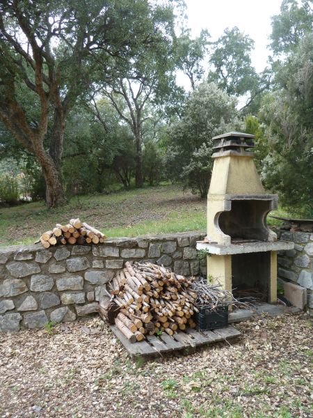 foto 16 Affitto tra privati Campo nell'Elba appartement Toscana Isola d'Elba Giardino