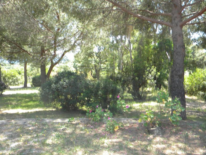 foto 19 Affitto tra privati Campo nell'Elba appartement Toscana Isola d'Elba Giardino