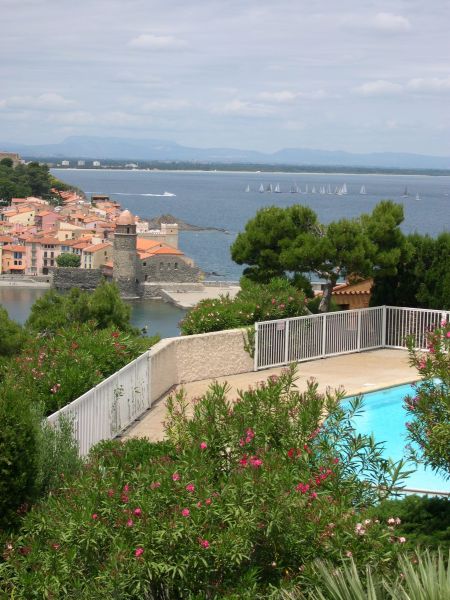 foto 1 Affitto tra privati Collioure appartement Linguadoca-Rossiglione Pirenei Orientali (Pyrnes-Orientales) Vista dalla casa vacanze