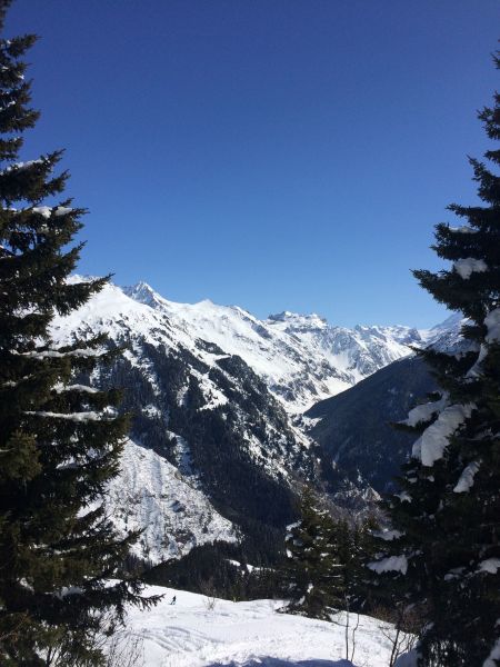 foto 12 Affitto tra privati La Plagne studio Rodano Alpi Savoia Vista nelle vicinanze