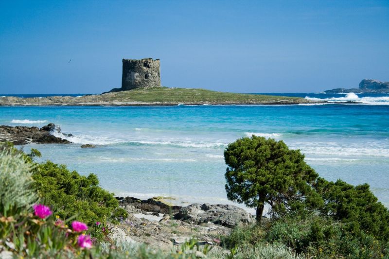 foto 11 Affitto tra privati Quartu Sant'Elena maison Sardegna Cagliari (provincia di) Spiaggia