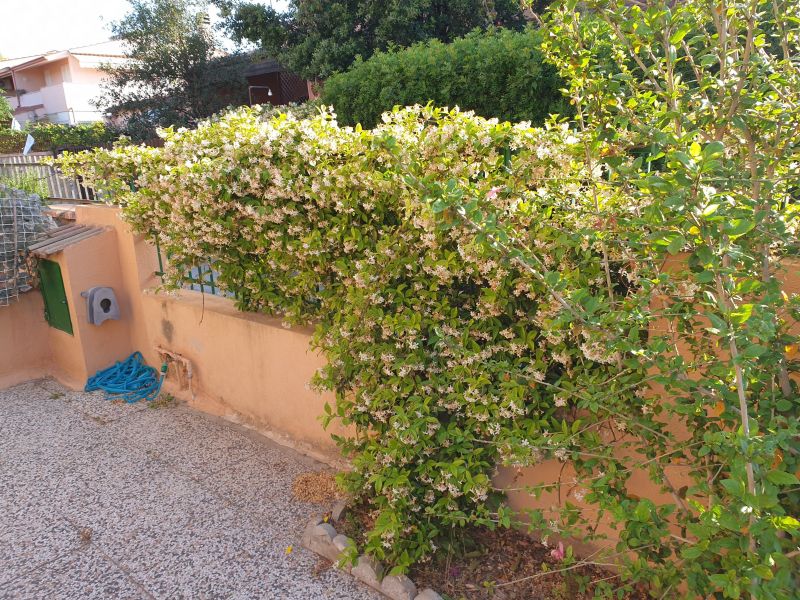 foto 25 Affitto tra privati Quartu Sant'Elena maison Sardegna Cagliari (provincia di)