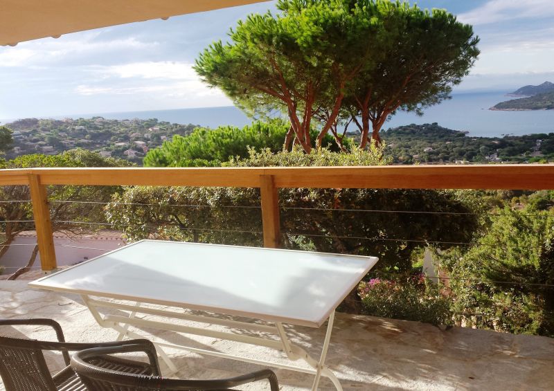 foto 1 Affitto tra privati Porto Vecchio villa Corsica Corsica del Sud Vista dal terrazzo