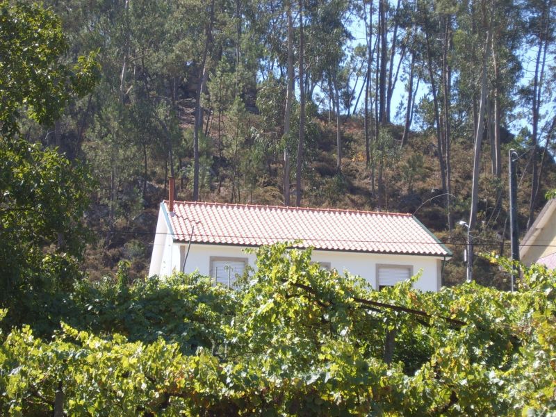 foto 1 Affitto tra privati Celorico de Basto maison Entre Douro e Minho  Vista esterna della casa vacanze